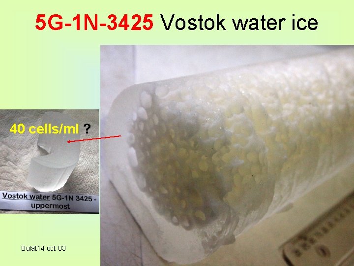 5 G-1 N-3425 Vostok water ice 40 cells/ml ? Bulat 14 oct-03 