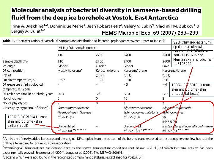 FEMS Microbiol Ecol 59 (2007) 289– 299 99% Chryseobacterium sp (human clinical source -