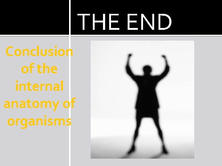 THE END Conclusion of the internal anatomy of organisms 