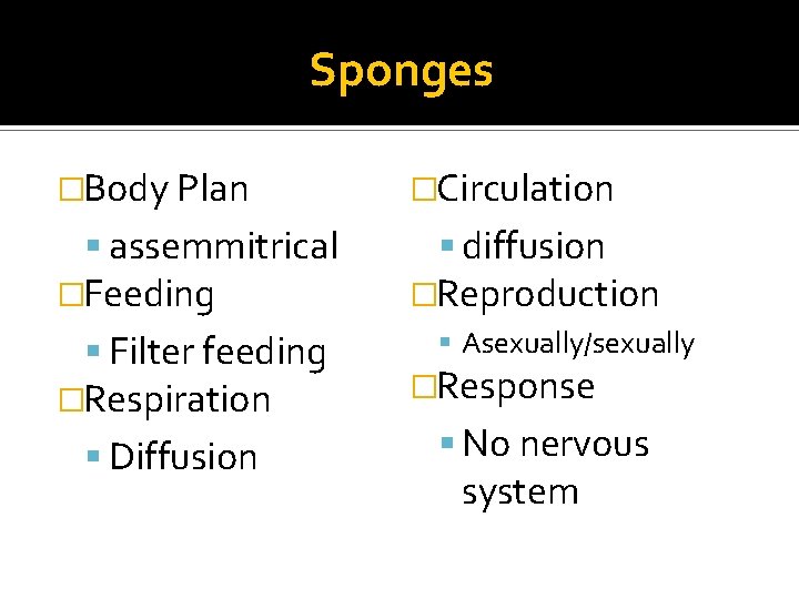 Sponges �Body Plan assemmitrical �Feeding Filter feeding �Respiration Diffusion �Circulation diffusion �Reproduction Asexually/sexually �Response