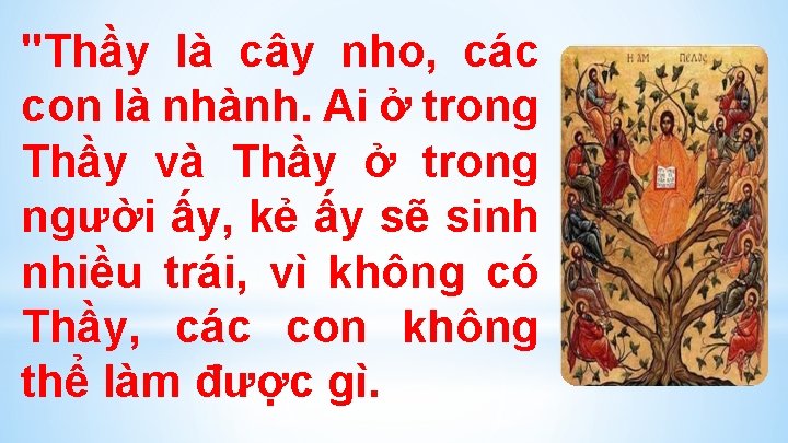 "Thầy là cây nho, các con là nhành. Ai ở trong Thầy và Thầy