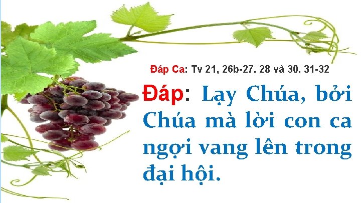 Ðáp Ca: Tv 21, 26 b-27. 28 và 30. 31 -32 Ðáp: Lạy Chúa,