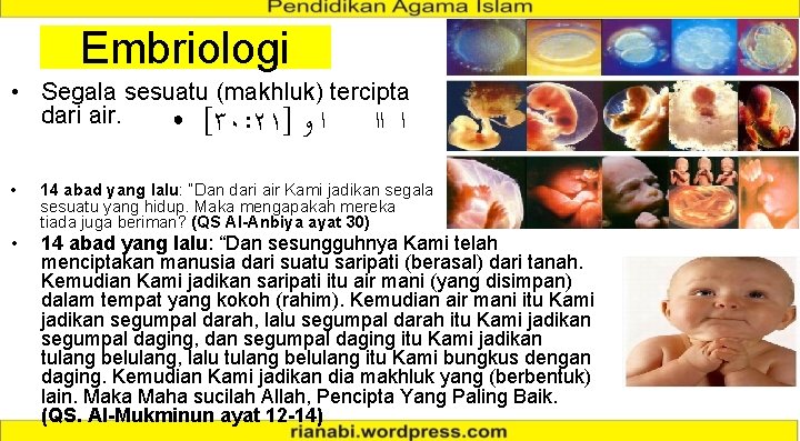 Embriologi • Segala sesuatu (makhluk) tercipta dari air. ● [٣٠: ٢١] ﺍ ﻭ ﺍ