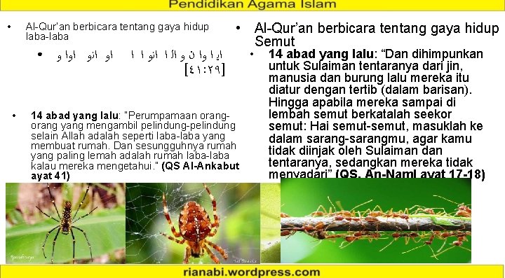  • Al-Qur’an berbicara tentang gaya hidup laba-laba ● • ﺍﻭ ﺍﻧﻭ ﺍﻭﺍ ﻭ