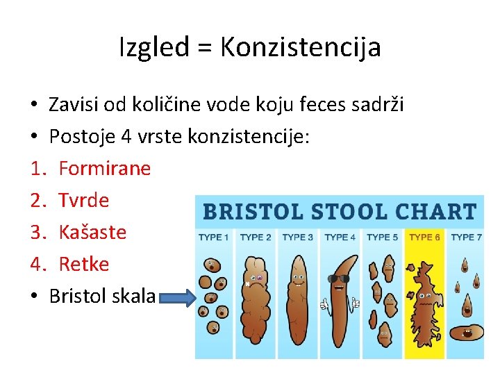 Izgled = Konzistencija • Zavisi od količine vode koju feces sadrži • Postoje 4