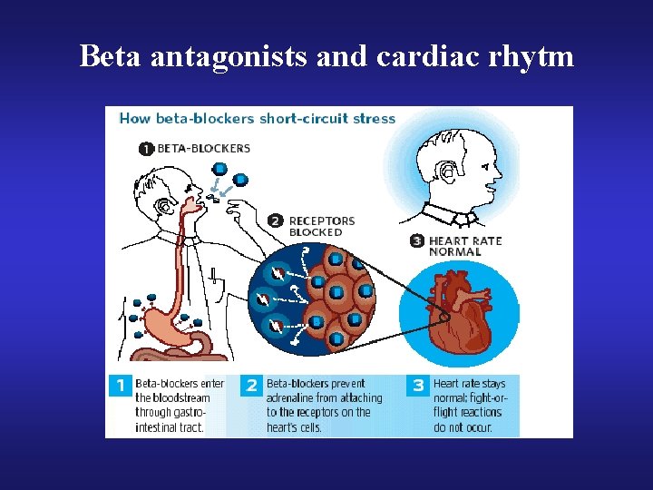 Beta antagonists and cardiac rhytm 