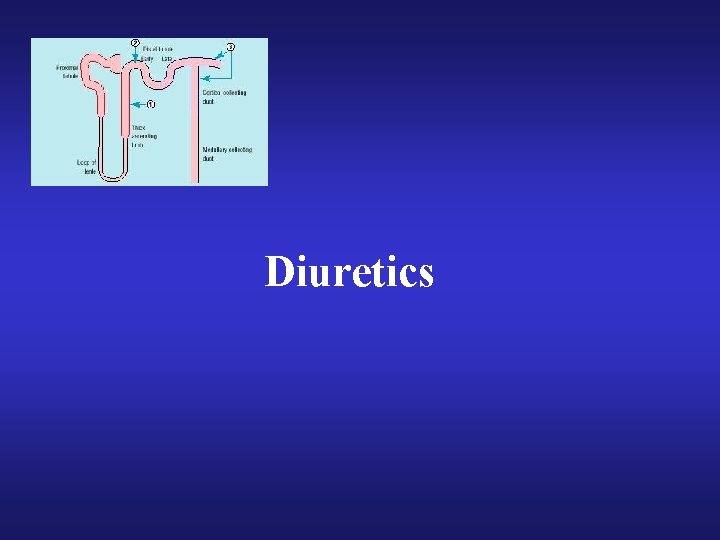 Diuretics 