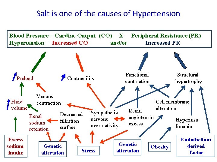 Salt is one of the causes of Hypertension Blood Pressure = Cardiac Output (CO)