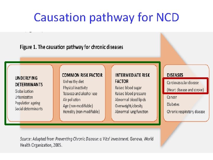 Causation pathway for NCD 