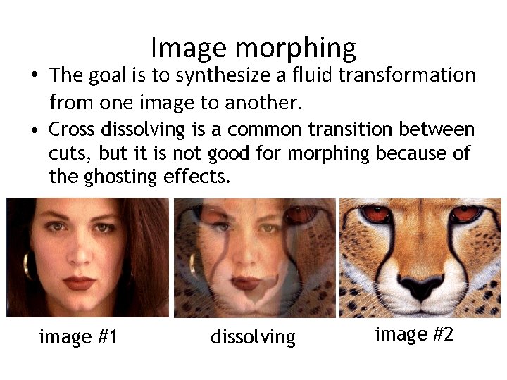 Image morphing • The goal is to synthesize a fluid transformation from one image Image morphing • The goal is to synthesize a fluid transformation from one image
