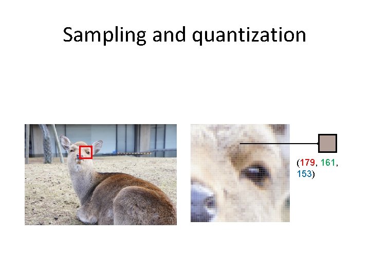Sampling and quantization (179, 161, 153) Sampling and quantization (179, 161, 153)
