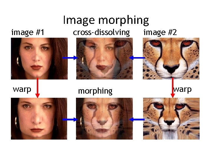image #1 warp Image morphing cross-dissolving morphing image #2 warp image #1 warp Image morphing cross-dissolving morphing image #2 warp