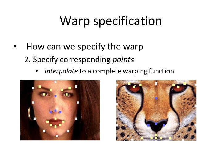 Warp specification • How can we specify the warp 2. Specify corresponding points • Warp specification • How can we specify the warp 2. Specify corresponding points •