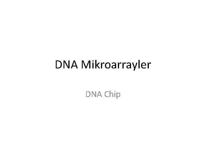 DNA Mikroarrayler DNA Chip 