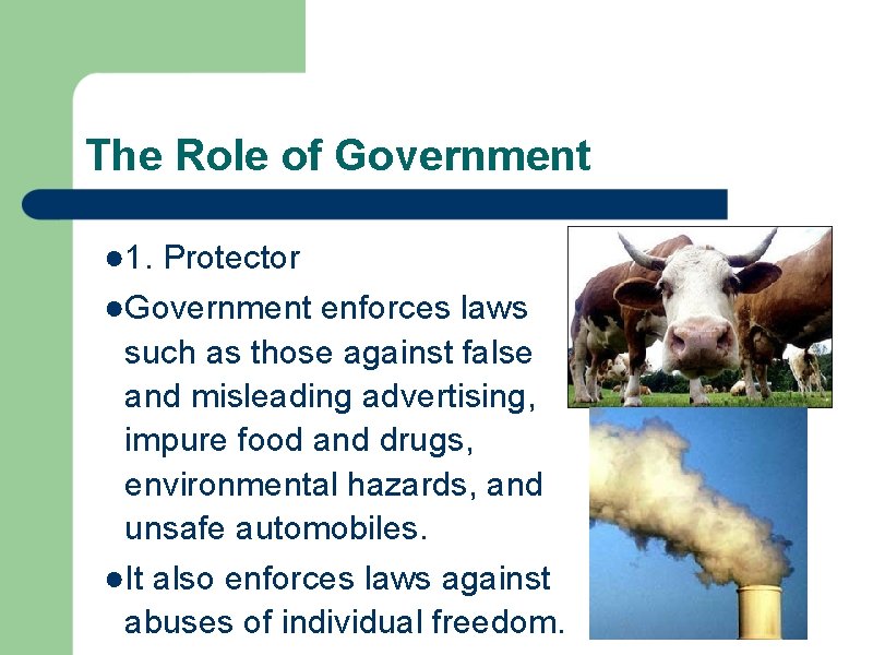 The Role of Government ● 1. Protector ●Government enforces laws such as those against