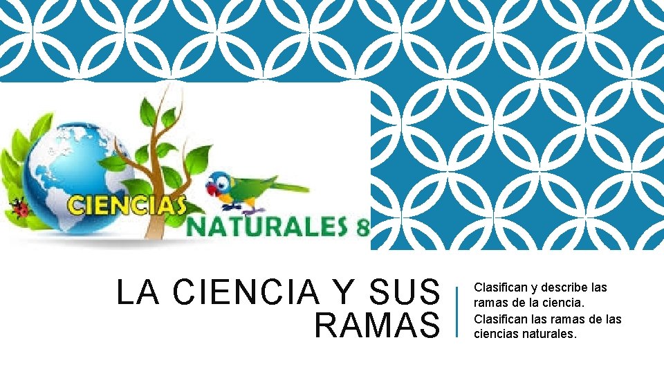 LA CIENCIA Y SUS RAMAS Clasifican y describe las ramas de la ciencia. Clasifican