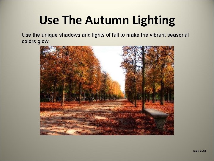 Use The Autumn Lighting Use the unique shadows and lights of fall to make