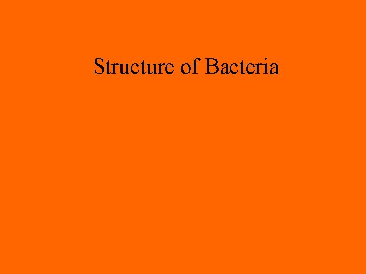 Structure of Bacteria 