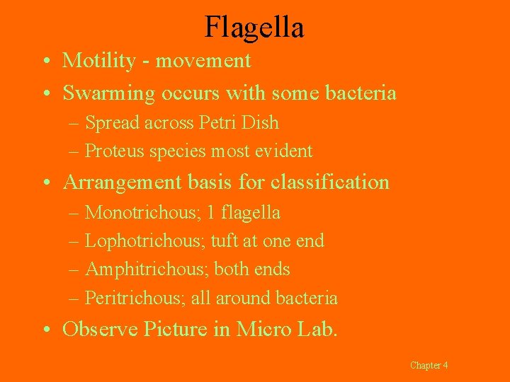 Flagella • Motility - movement • Swarming occurs with some bacteria – Spread across
