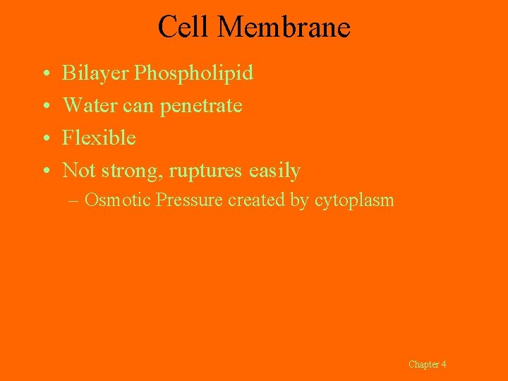 Cell Membrane • • Bilayer Phospholipid Water can penetrate Flexible Not strong, ruptures easily