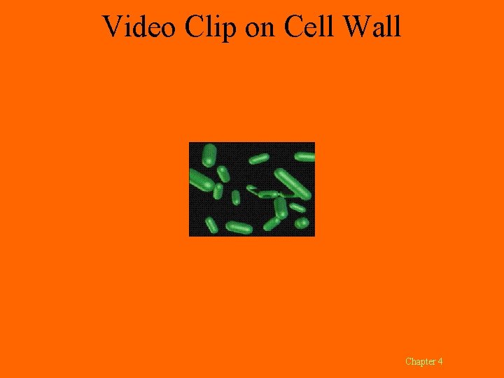 Video Clip on Cell Wall Chapter 4 