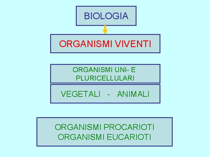 BIOLOGIA ORGANISMI VIVENTI ORGANISMI UNI- E PLURICELLULARI VEGETALI - ANIMALI ORGANISMI PROCARIOTI ORGANISMI EUCARIOTI