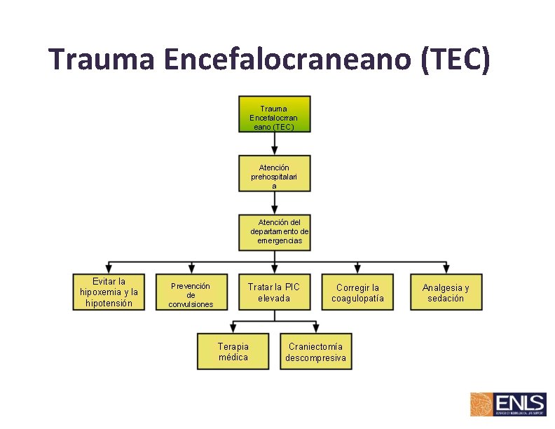 Trauma Encefalocraneano (TEC) Trauma Encefalocrran eano (TEC) Atención prehospitalari a Atención del departamento de