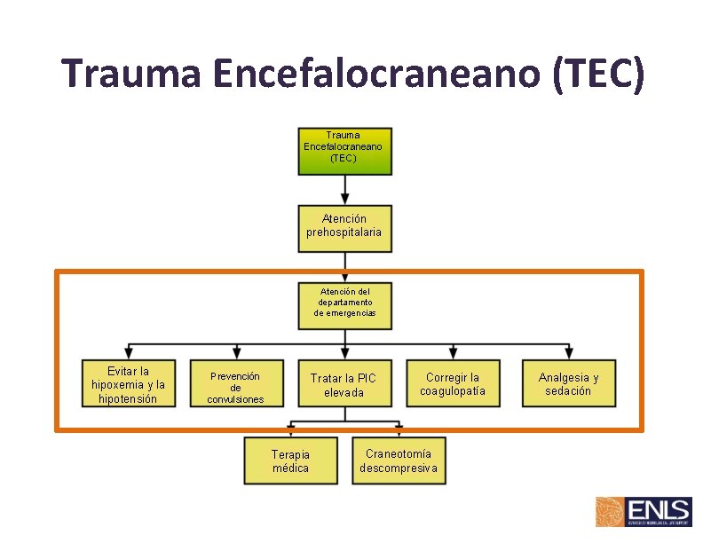 Trauma Encefalocraneano (TEC) Atención prehospitalaria Atención del departamento de emergencias Evitar la hipoxemia y