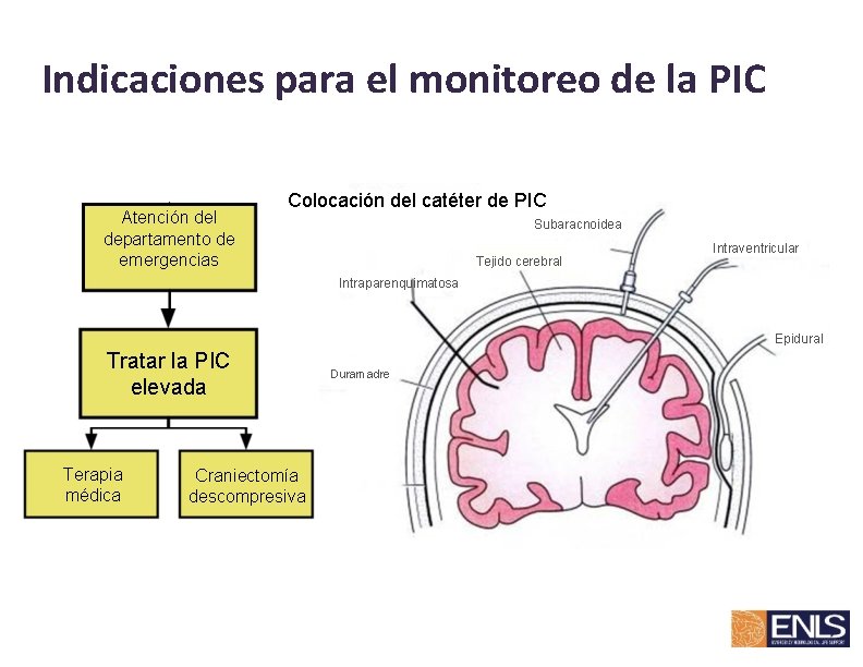 Indicaciones para el monitoreo de la PIC Atención del departamento de emergencias Colocación del