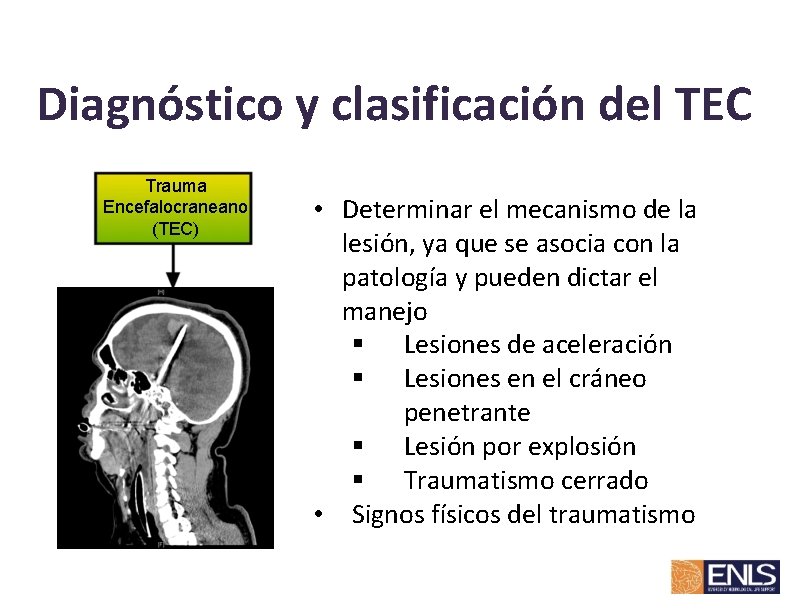 Diagnóstico y clasificación del TEC Trauma Encefalocraneano (TEC) • Determinar el mecanismo de la