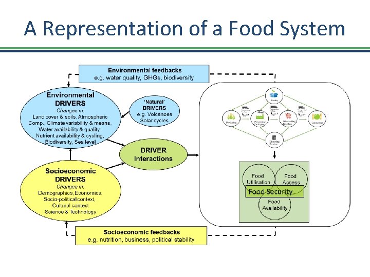 A Representation of a Food System 