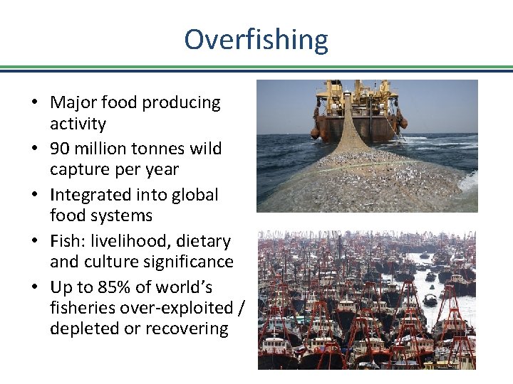 Overfishing • Major food producing activity • 90 million tonnes wild capture per year