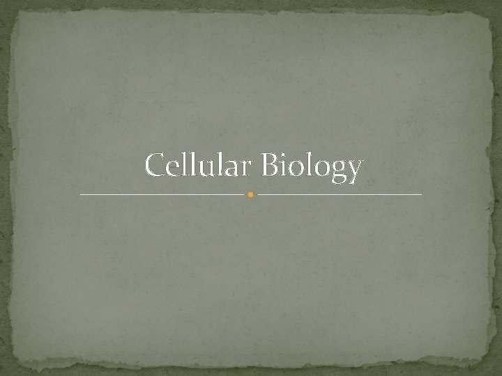 Cellular Biology 