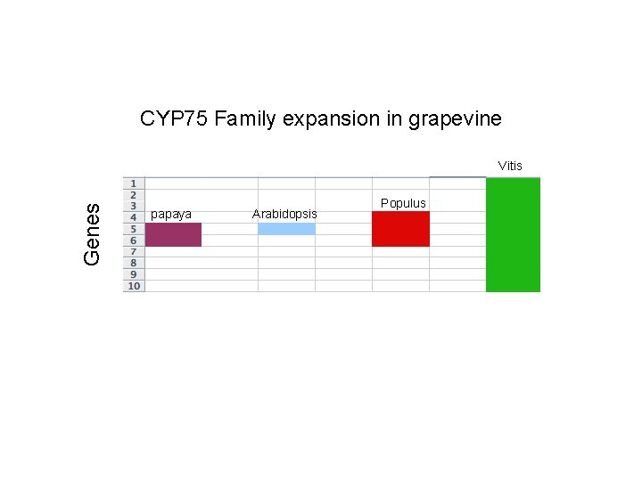 CYP 75 Family expansion in grapevine Genes Vitis papaya Arabidopsis Populus 