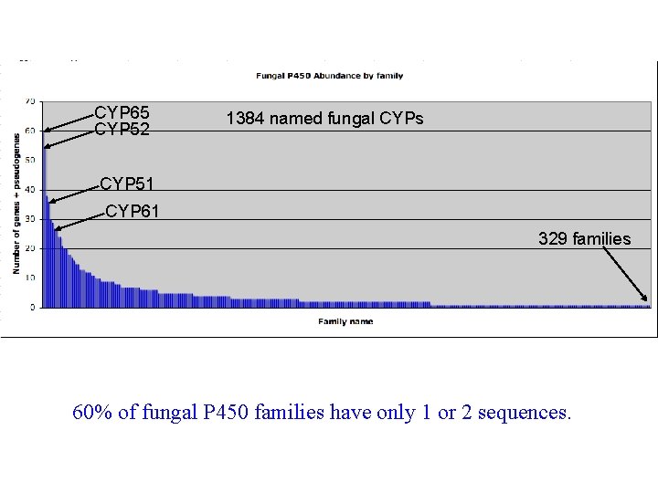 CYP 65 CYP 52 1384 named fungal CYPs CYP 51 CYP 61 329 families