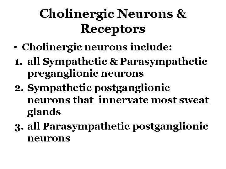 Cholinergic Neurons & Receptors • Cholinergic neurons include: 1. all Sympathetic & Parasympathetic preganglionic
