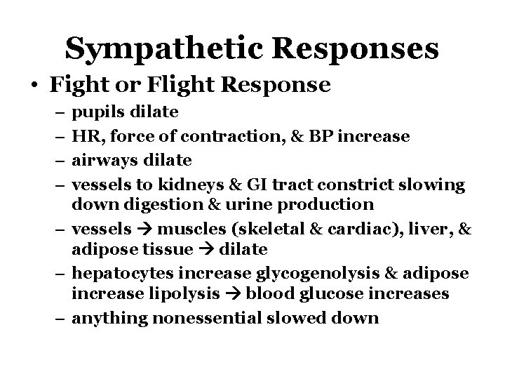 Sympathetic Responses • Fight or Flight Response – – pupils dilate HR, force of