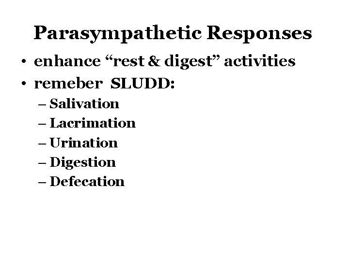 Parasympathetic Responses • enhance “rest & digest” activities • remeber SLUDD: – Salivation –