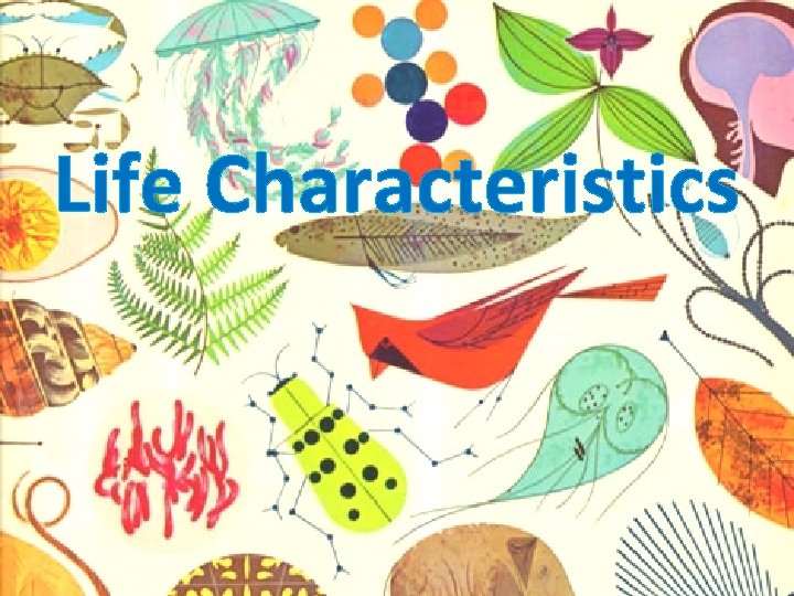 Life Characteristics 