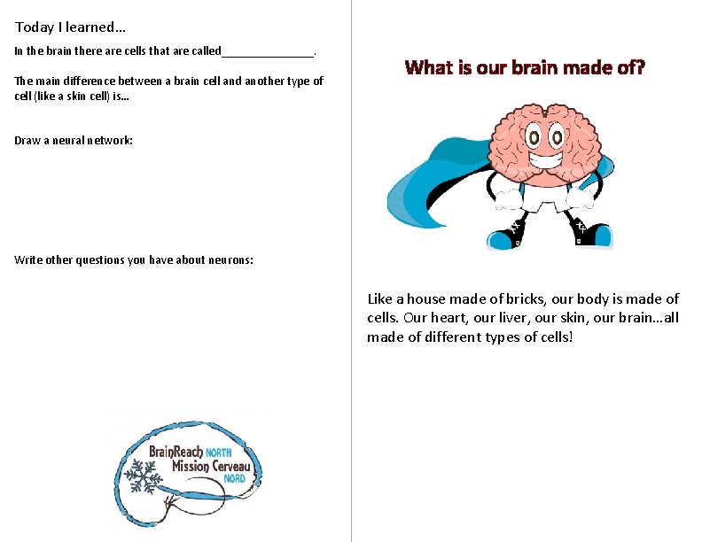 Today I learned… In the brain there are cells that are called________. The main