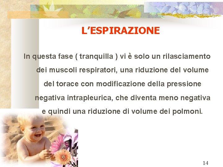 L’ESPIRAZIONE In questa fase ( tranquilla ) vi è solo un rilasciamento dei muscoli