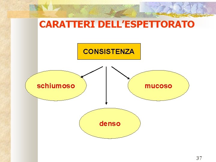 CARATTERI DELL’ESPETTORATO CONSISTENZA schiumoso mucoso denso 37 