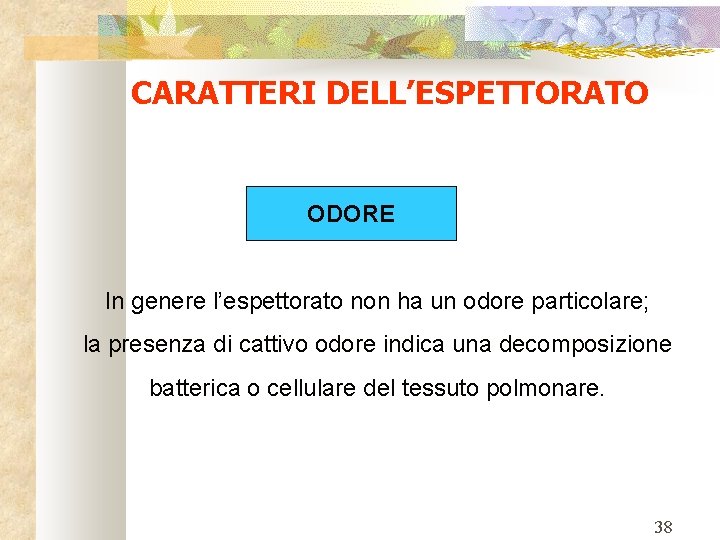 CARATTERI DELL’ESPETTORATO ODORE In genere l’espettorato non ha un odore particolare; la presenza di