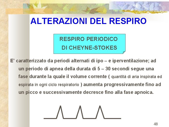 ALTERAZIONI DEL RESPIRO PERIODICO DI CHEYNE-STOKES E’ caratterizzato da periodi alternati di ipo –