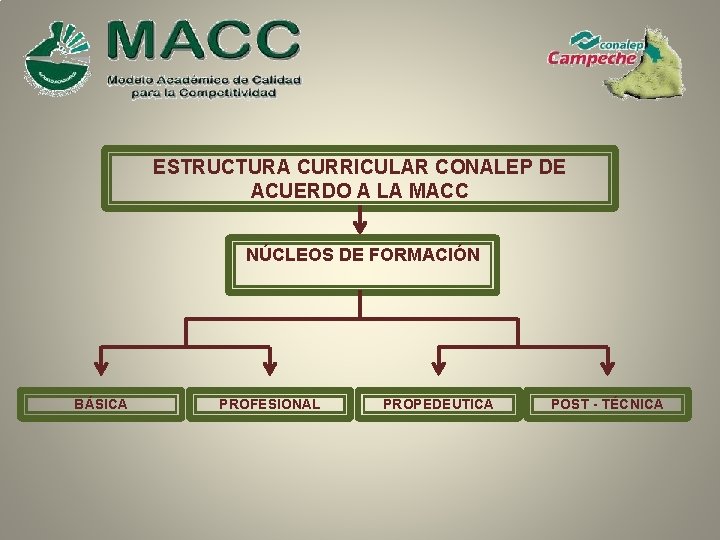 ESTRUCTURA CURRICULAR CONALEP DE ACUERDO A LA MACC NÚCLEOS DE FORMACIÓN BÁSICA PROFESIONAL PROPEDEUTICA