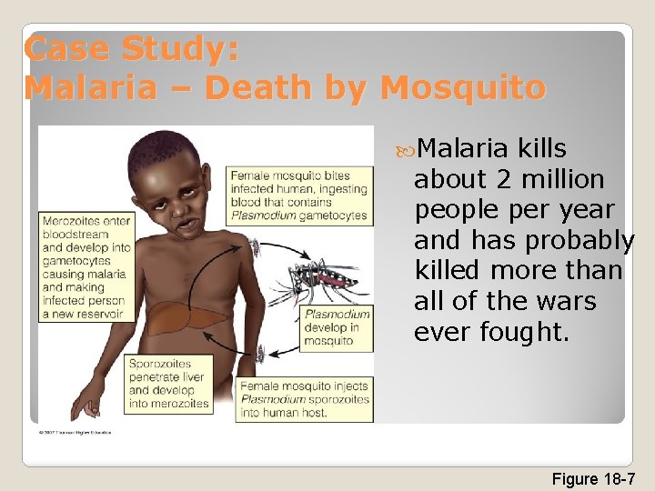 Case Study: Malaria – Death by Mosquito Malaria kills about 2 million people per