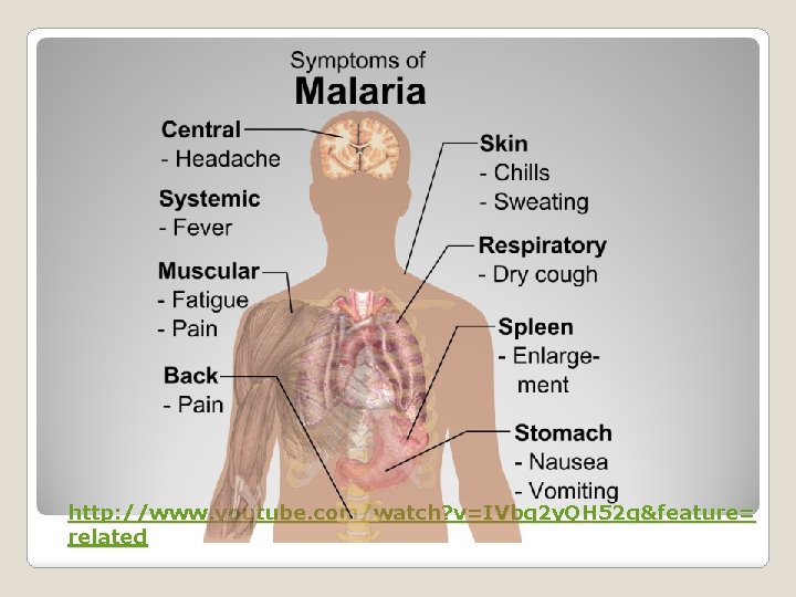 http: //www. youtube. com/watch? v=IVbq 2 y. QH 52 g&feature= related 