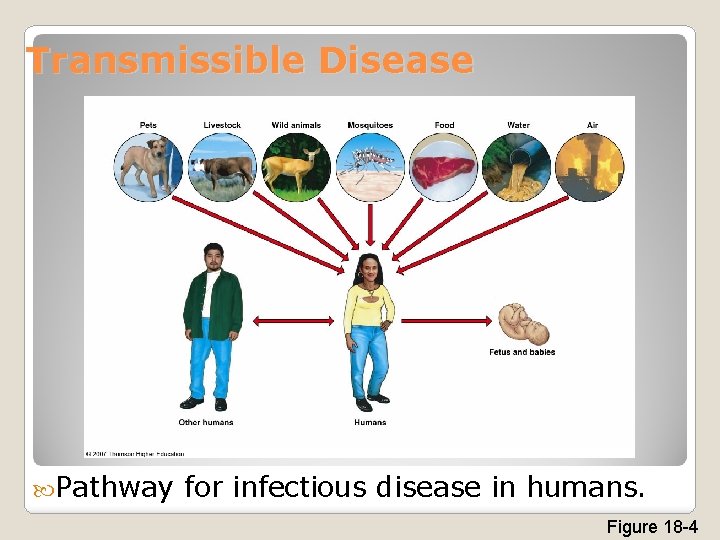 Transmissible Disease Pathway for infectious disease in humans. Figure 18 -4 