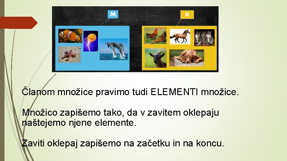 Članom množice pravimo tudi ELEMENTI množice. Množico zapišemo tako, da v zavitem oklepaju naštejemo