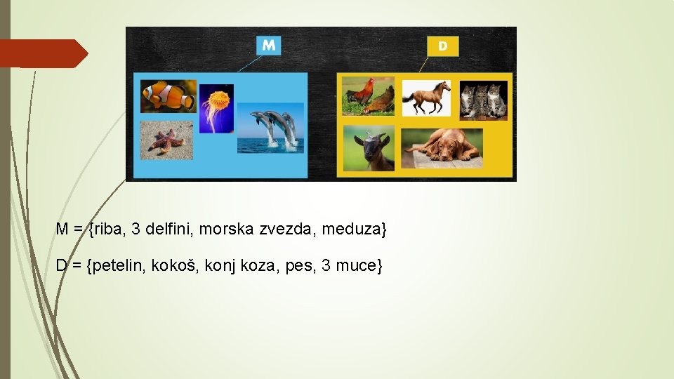 M = {riba, 3 delfini, morska zvezda, meduza} D = {petelin, kokoš, konj koza,